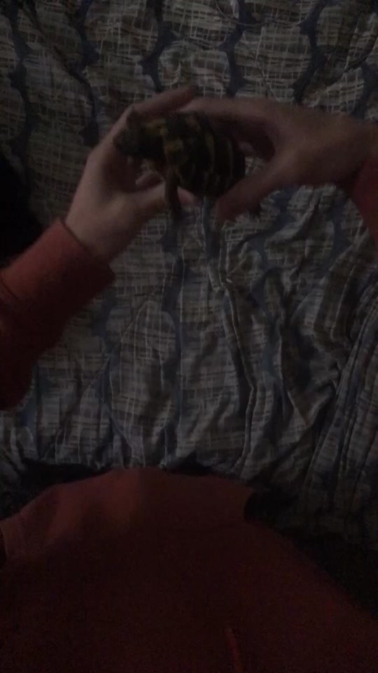 @Cooper Scoops Poop