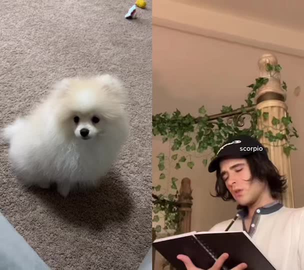 @Letsy