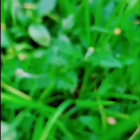 @Nikhil Nikhil