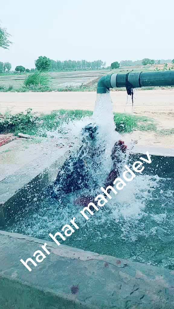 @Aman foji ☺☺☺☺