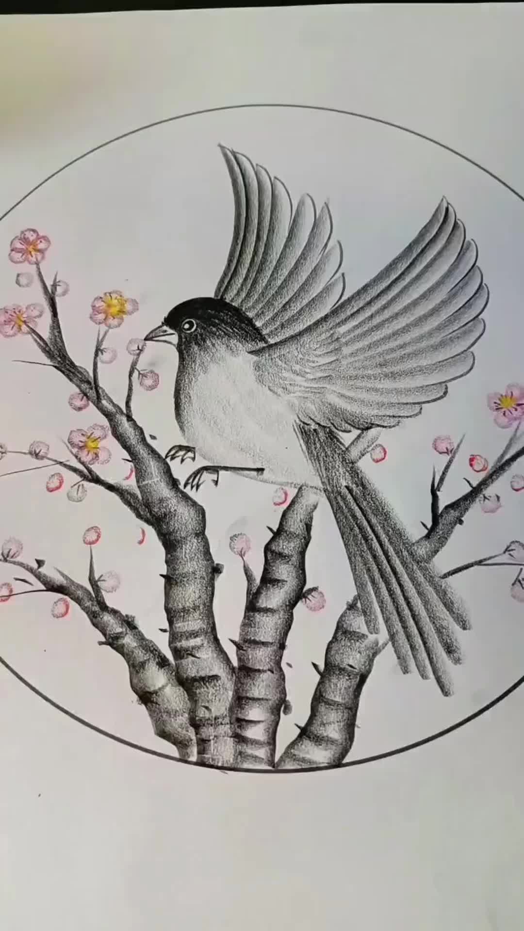 @blanche3121