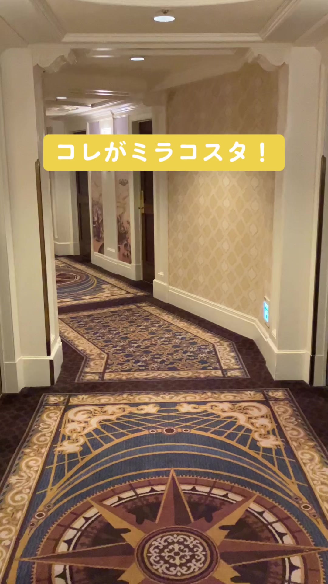 @Sheeply代表かける