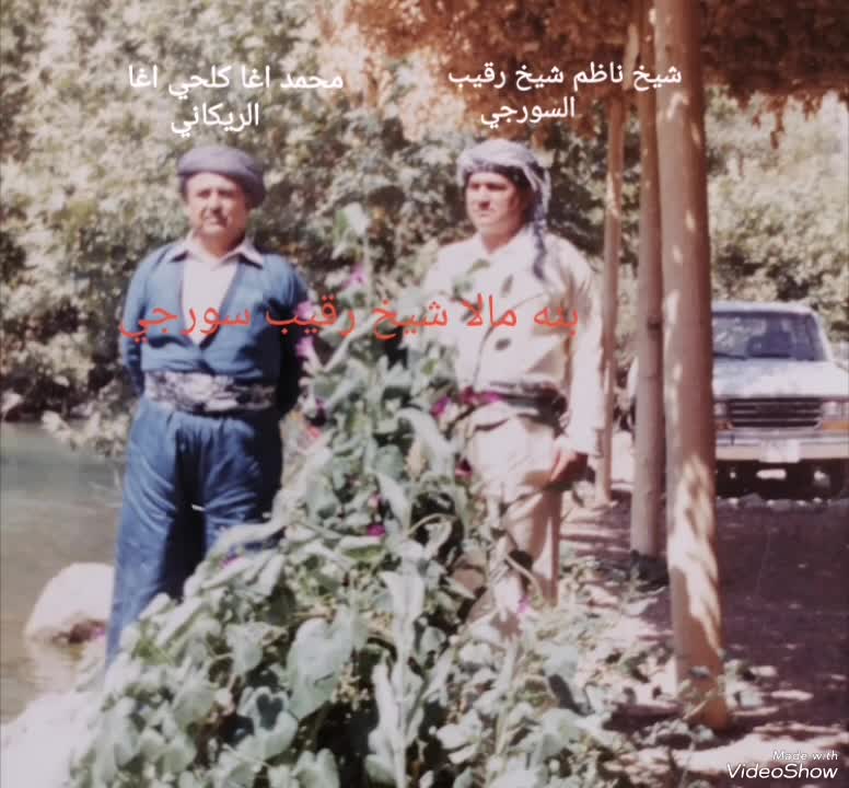 @بنه مالا شيخ رقيب سورجي