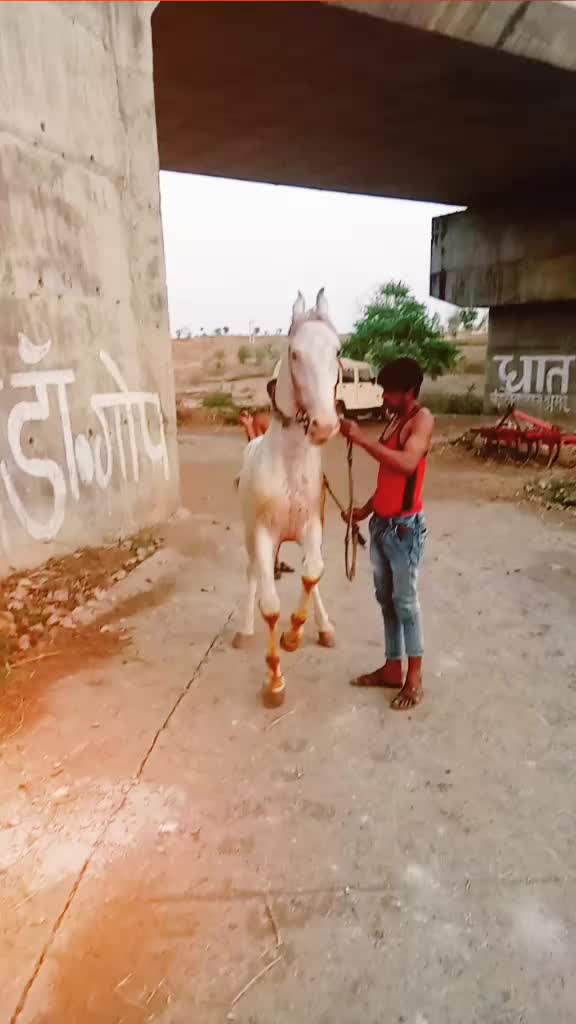 @Aslan Khan786