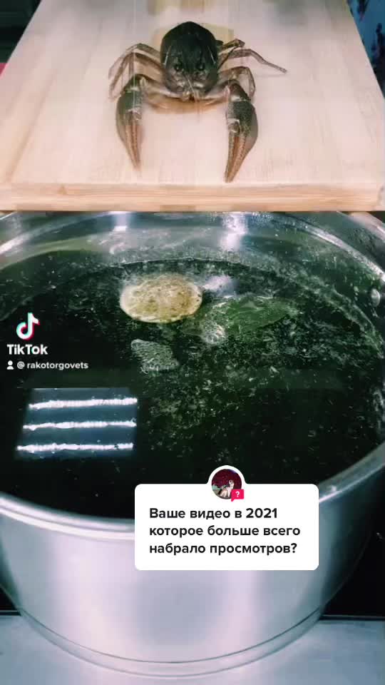 @rakotorgovets