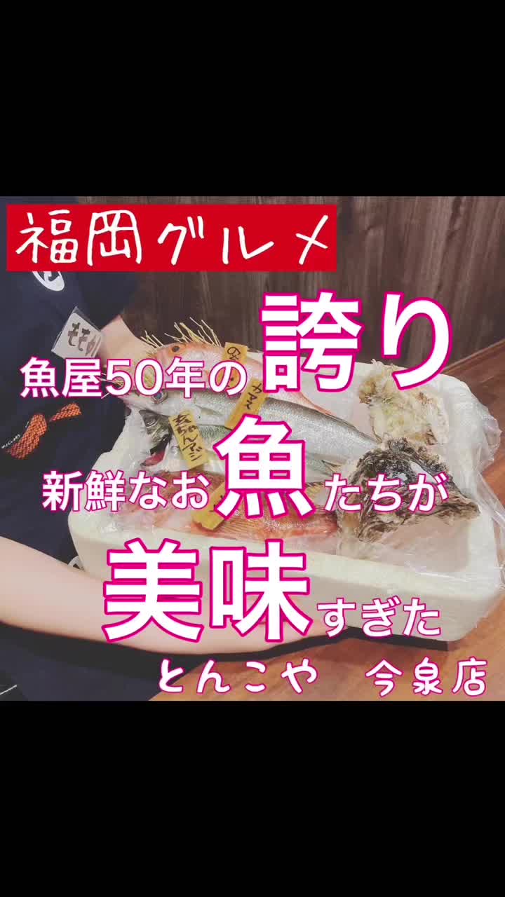 @遊び尽くせ!