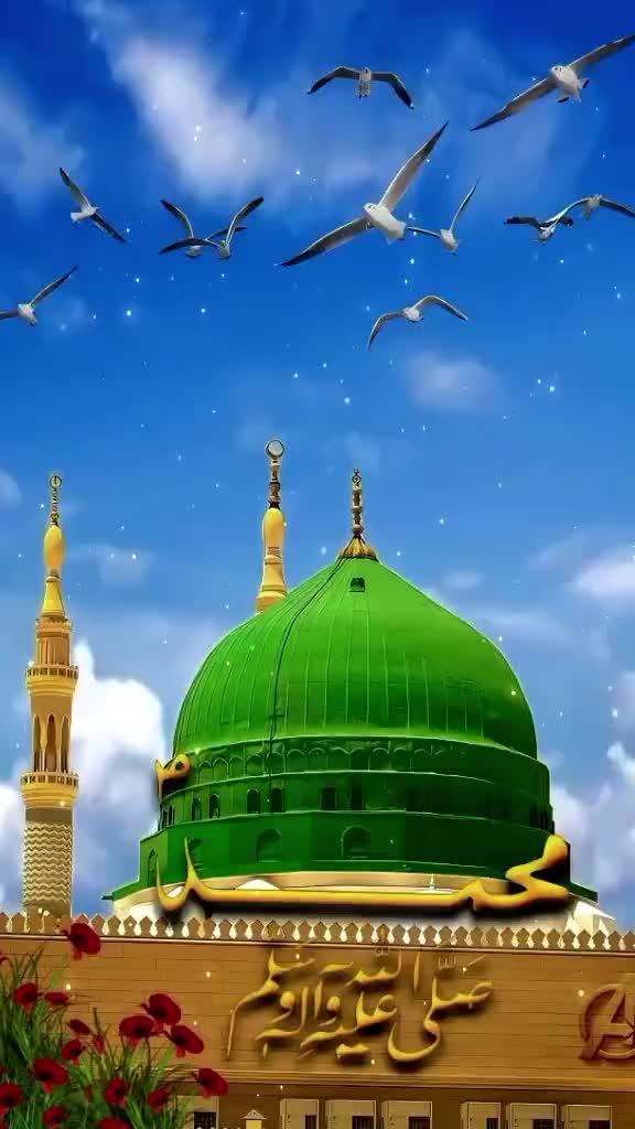 @Mujahid Arif