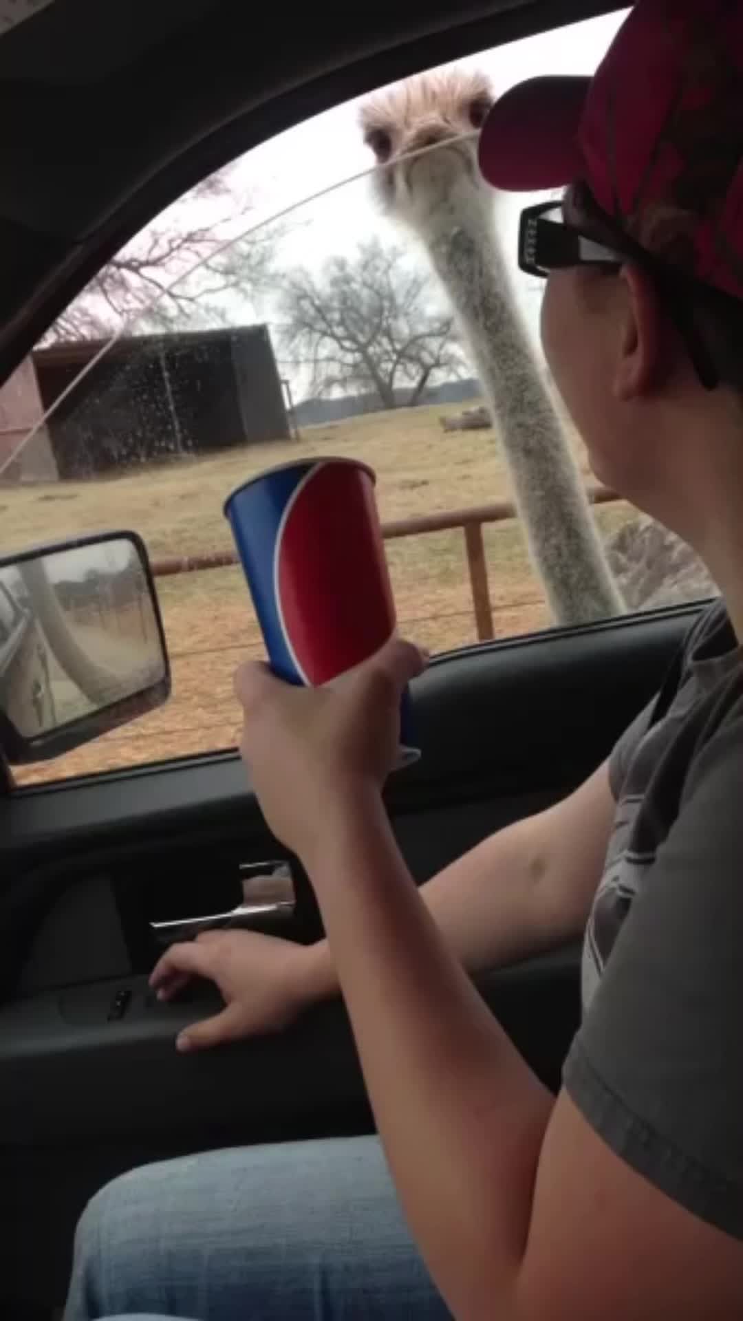 @Jesse Dewbery