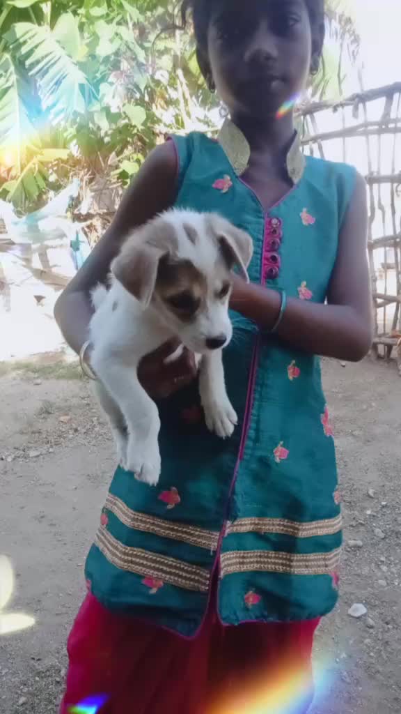 @Santhalakshmi