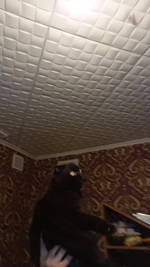@Динара