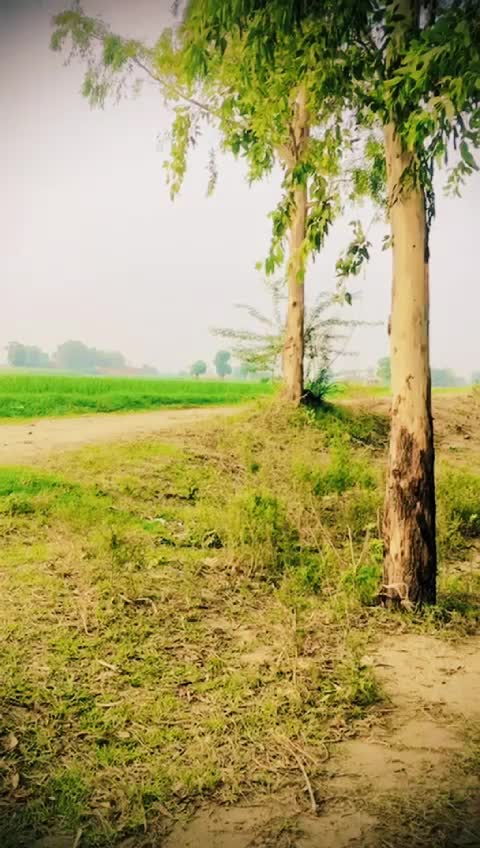 @Rudhra Rahul Puri ji