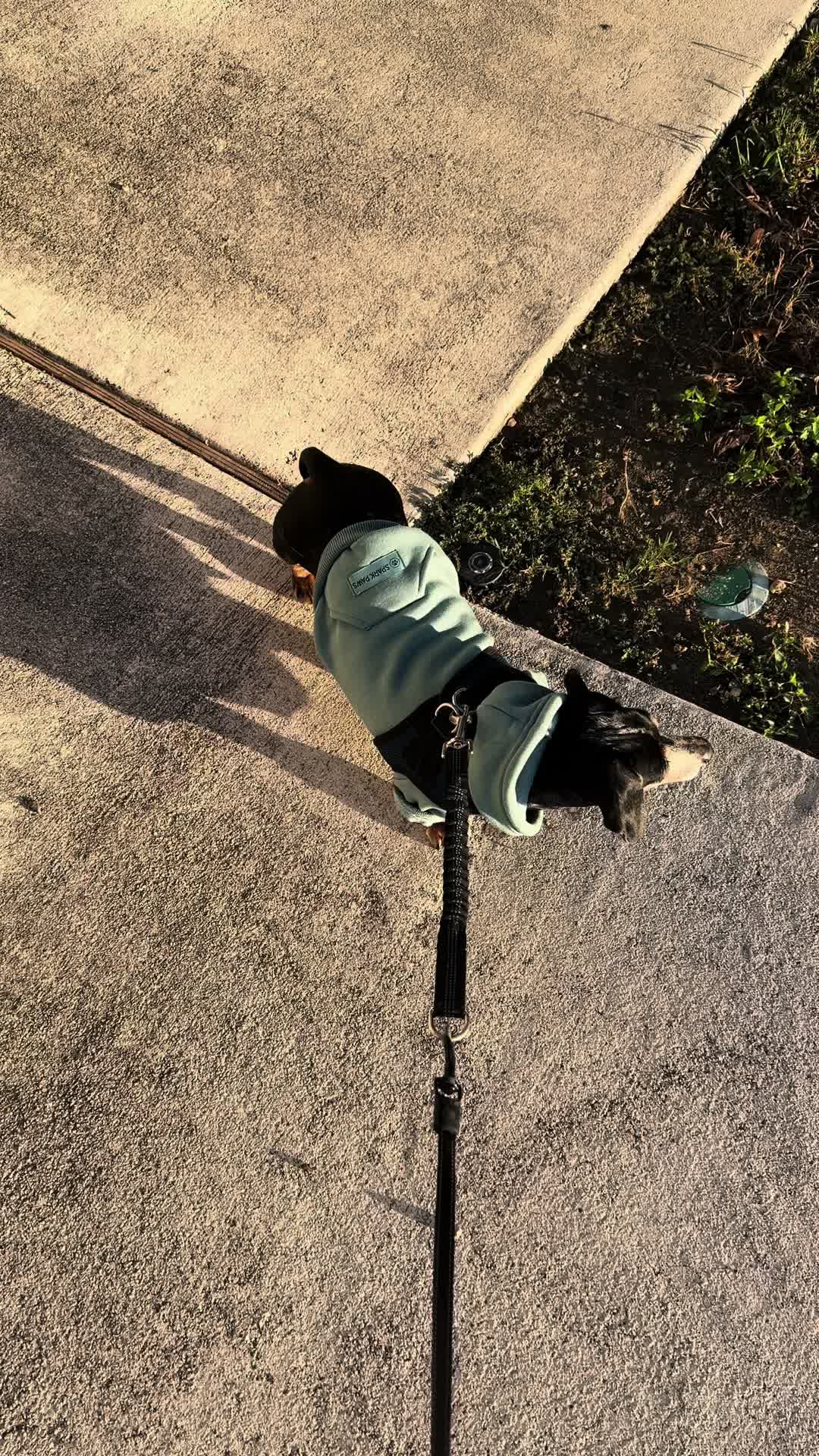 @Artemeia
