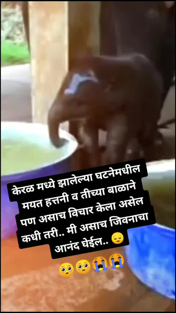 @sattu@