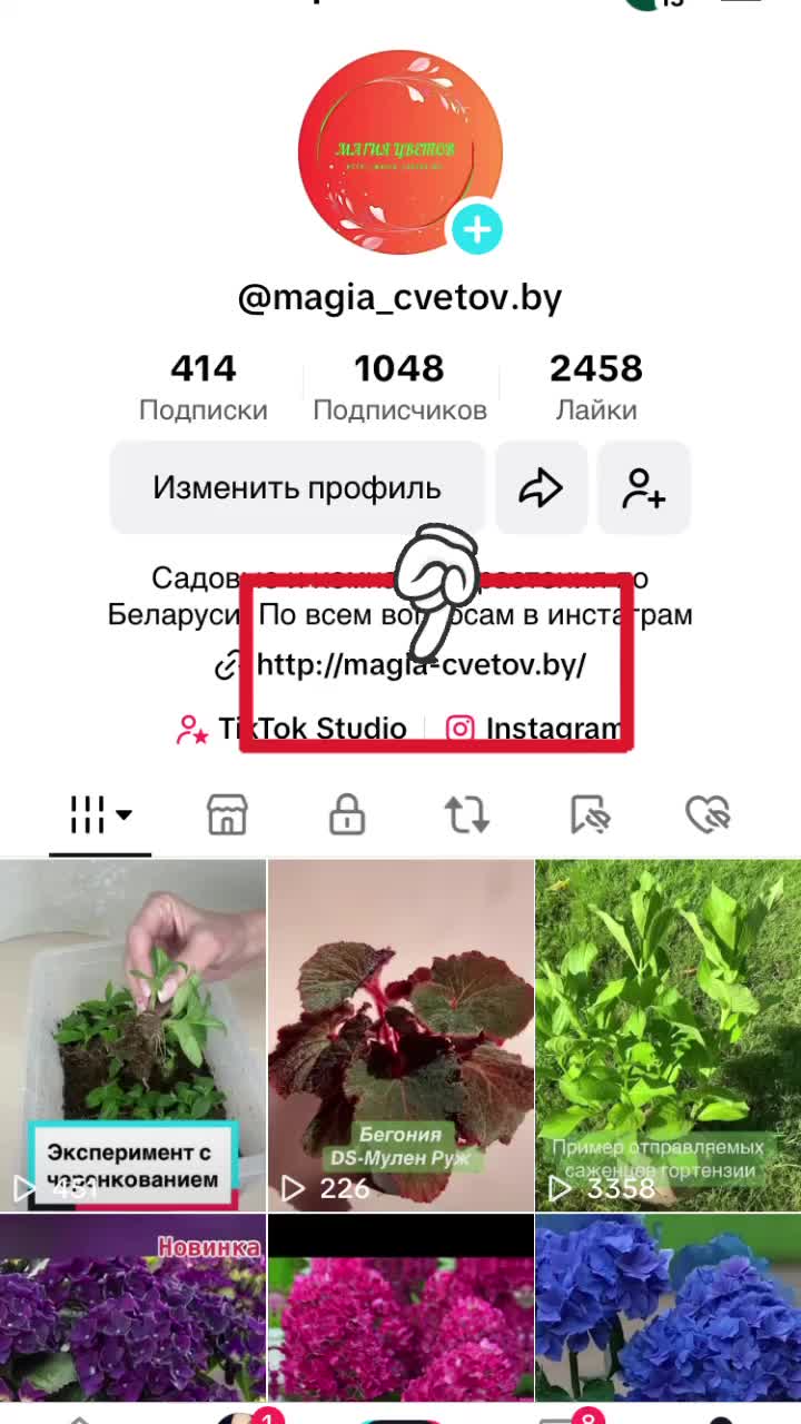 @Интернет-магазин Магия цветов
