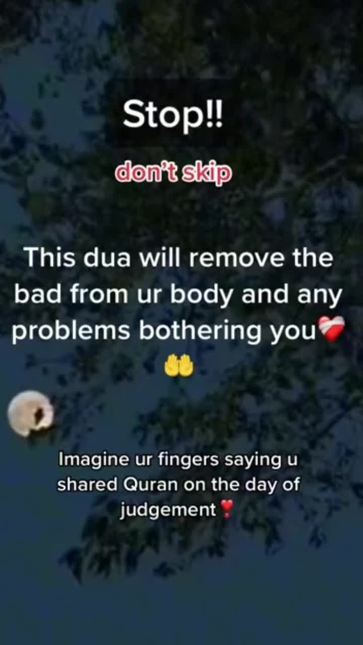 @user94253254005