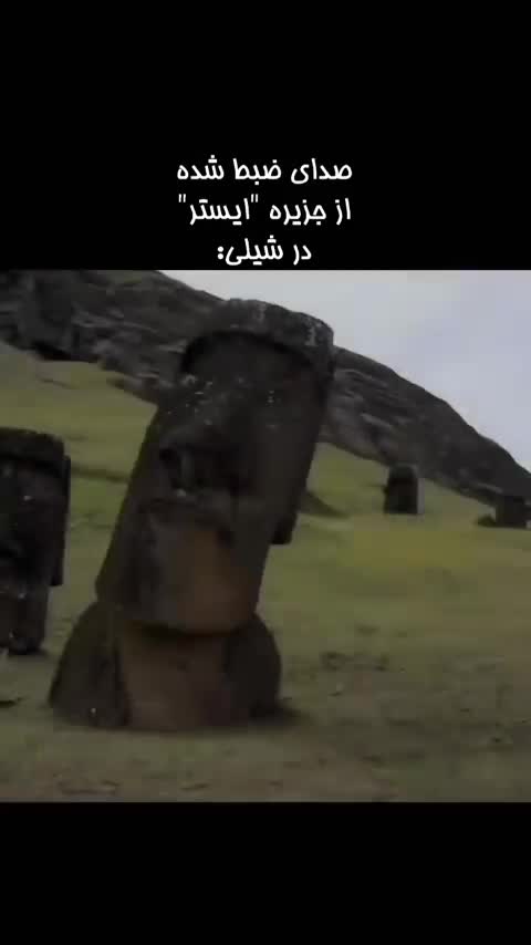 @parsa_faryad