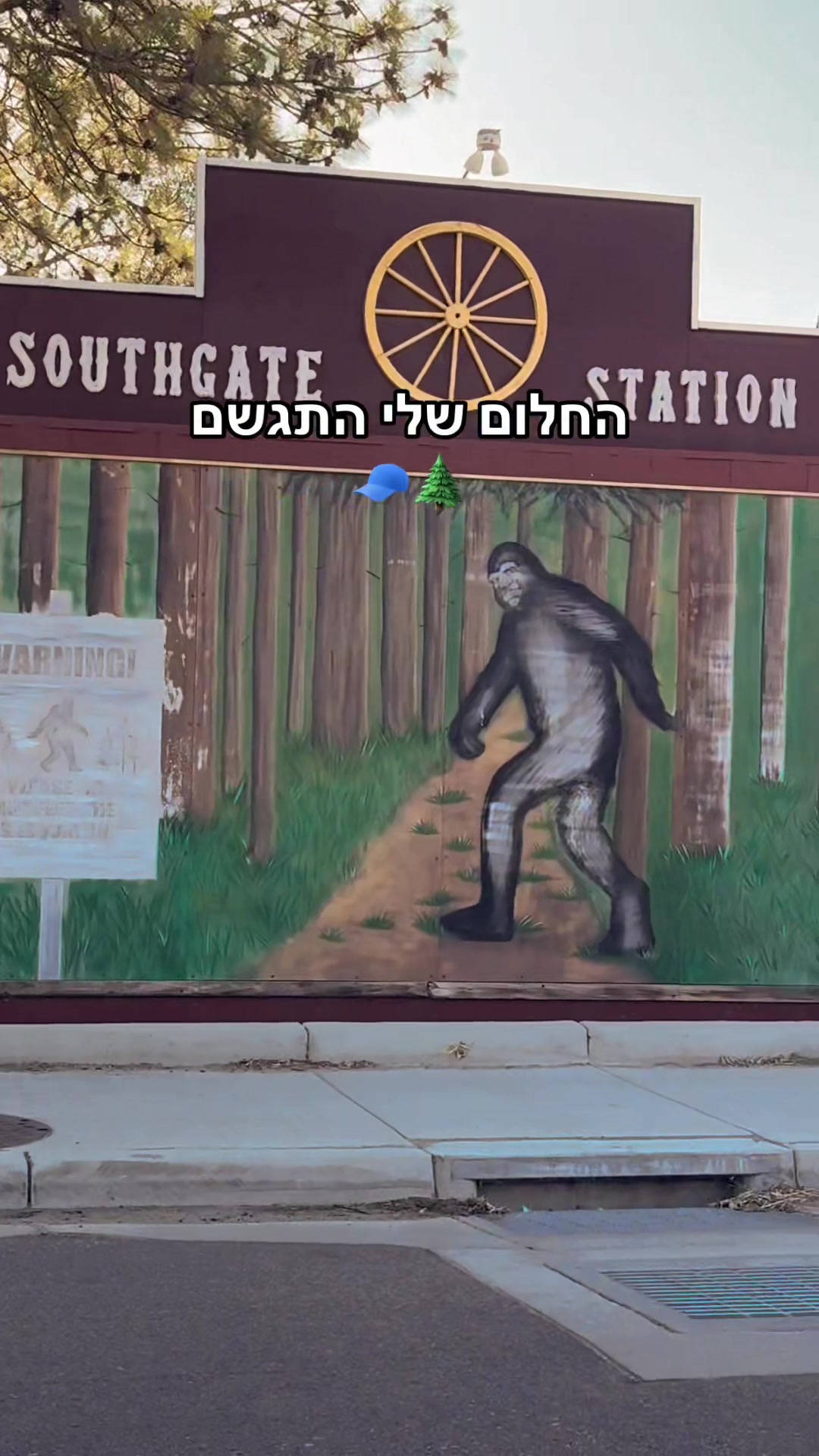 @מרשמלו סיקרט