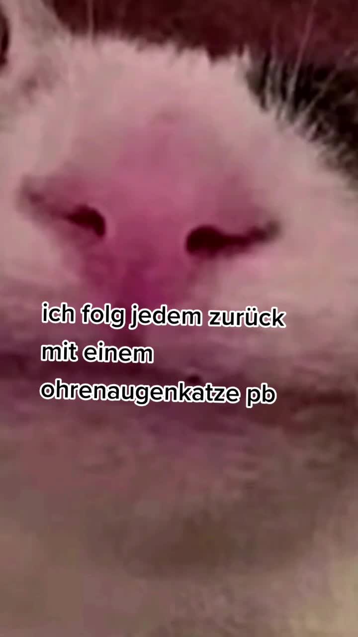 @woaaah