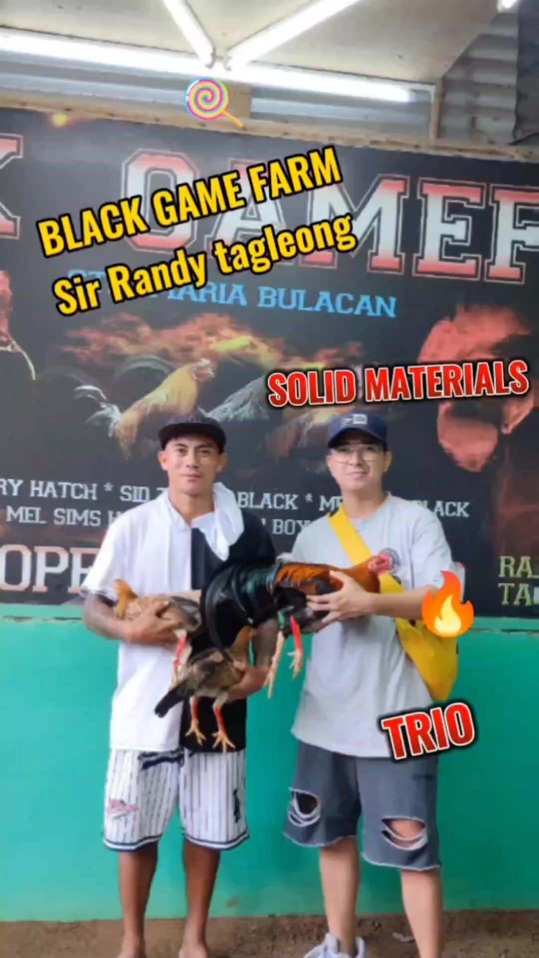 @RDDgamefowlbreeder