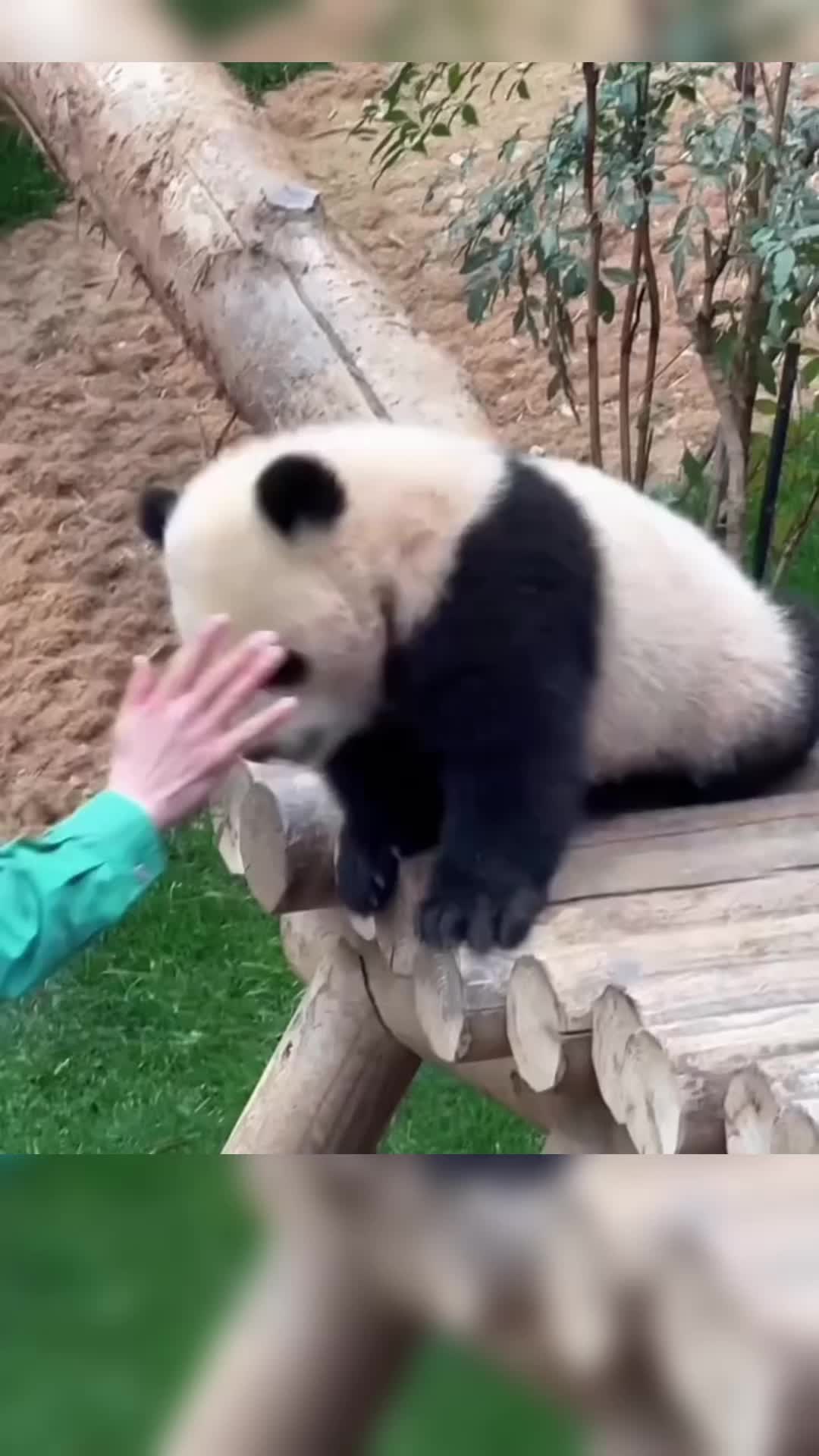 @meowhhcdntb
