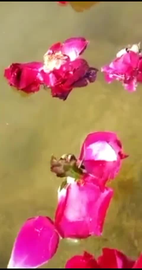 @Mihir Rajput 1807