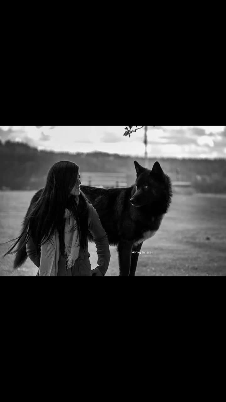 @NWWolfdogs