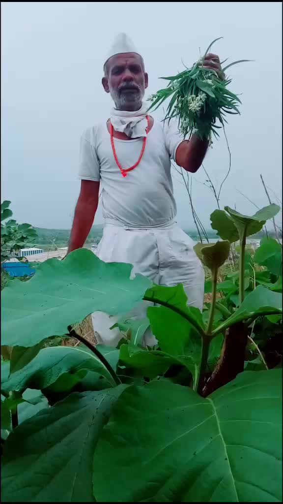 @जय जिजाऊ जय शिवराय