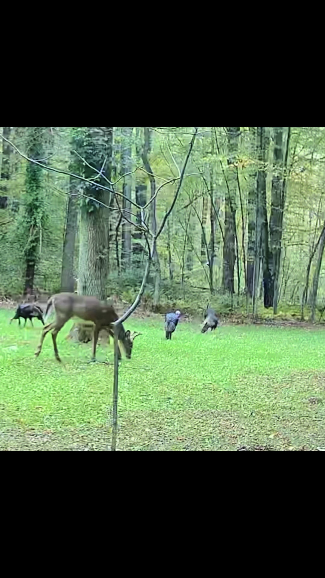 @Berko Outdoors