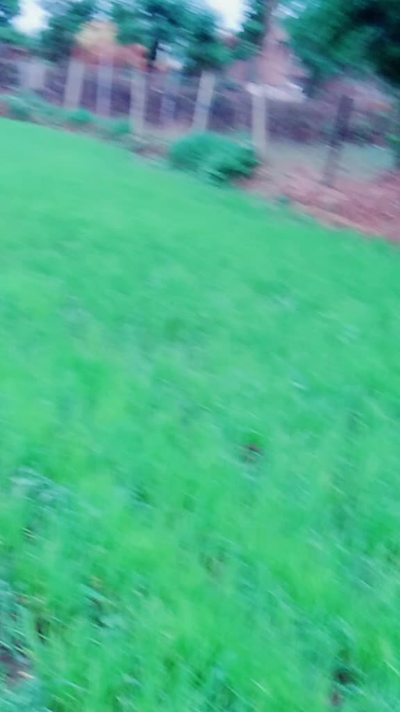 @P_A_W_A_N