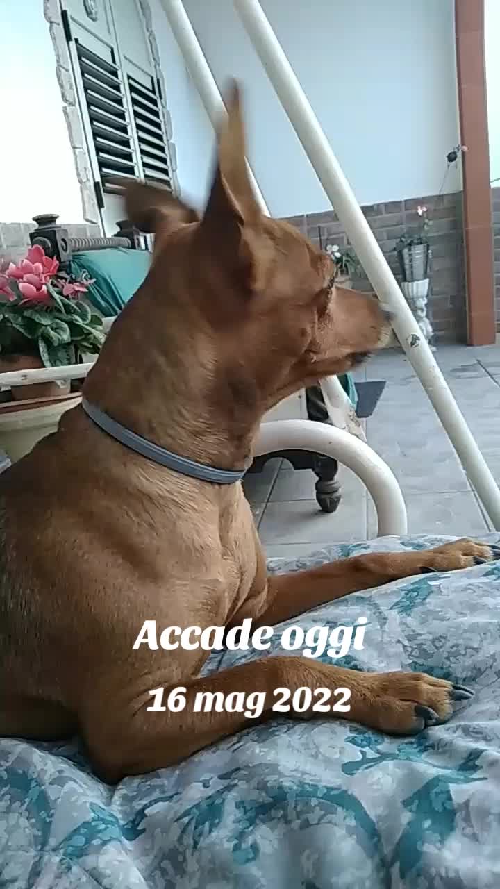 @lucry