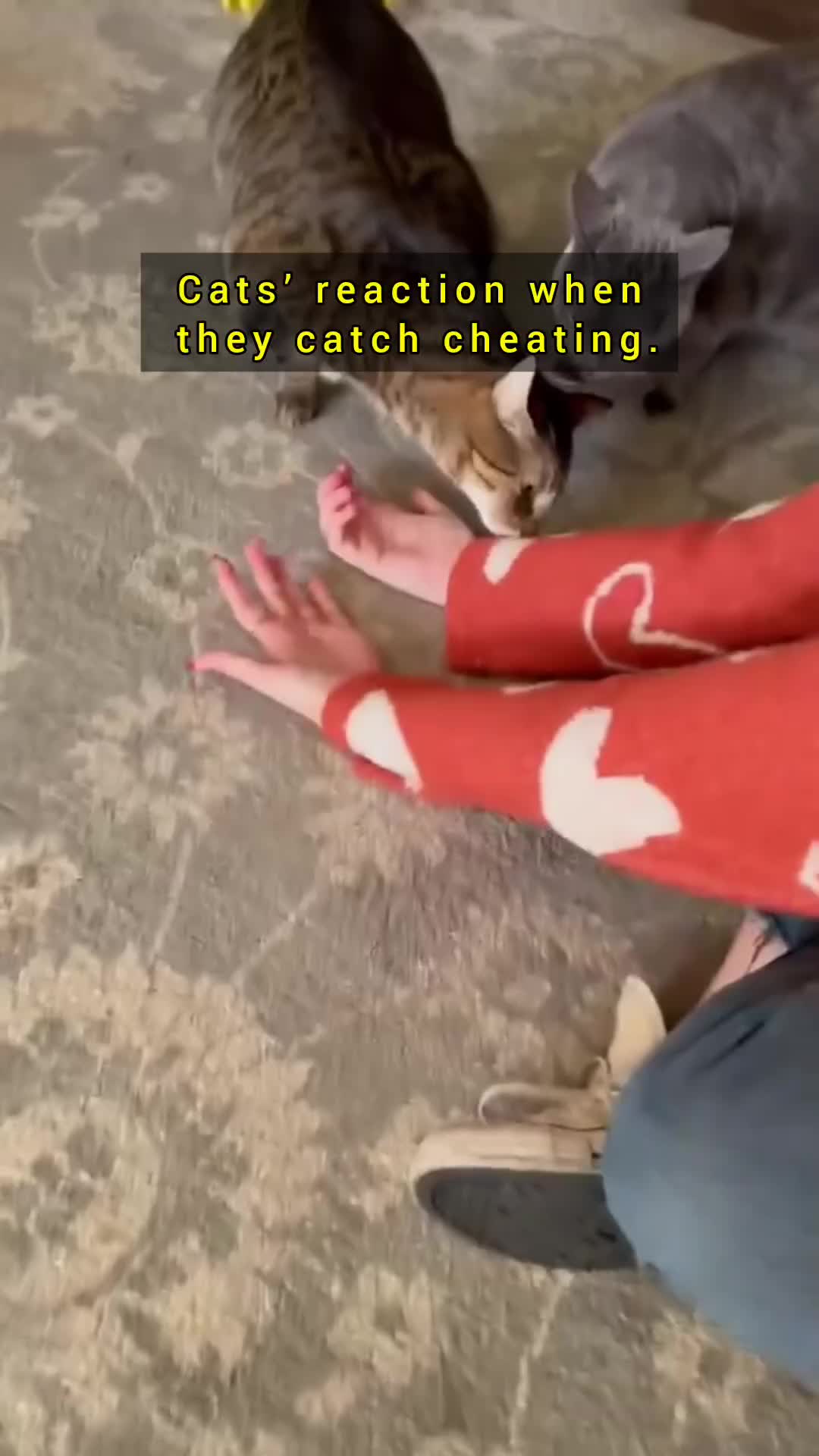 @ItsFunHub