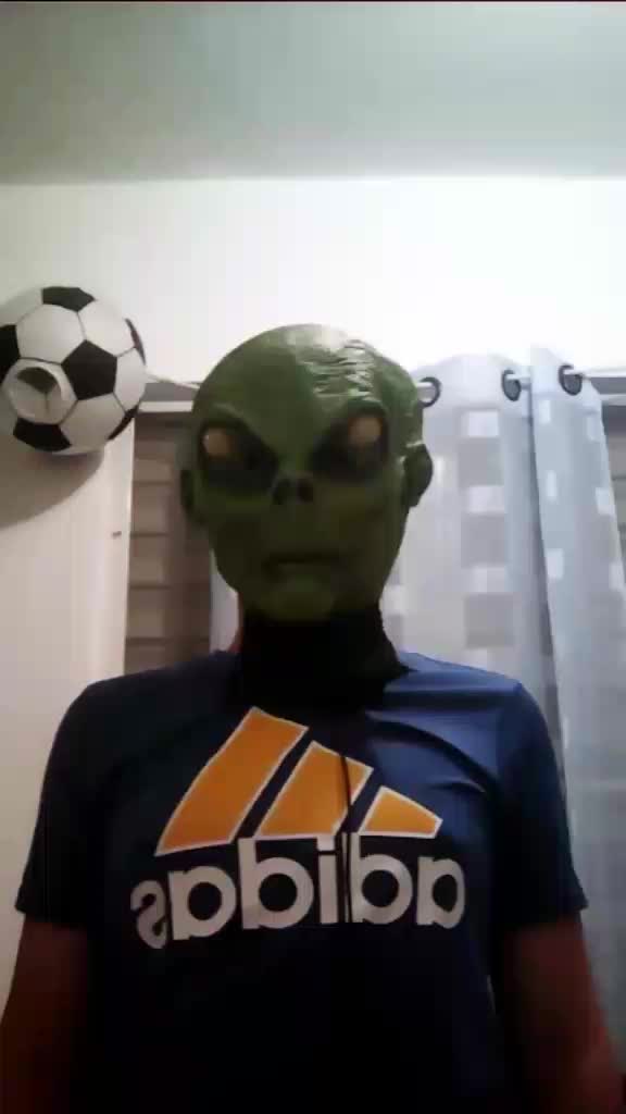 @tiktok plushes