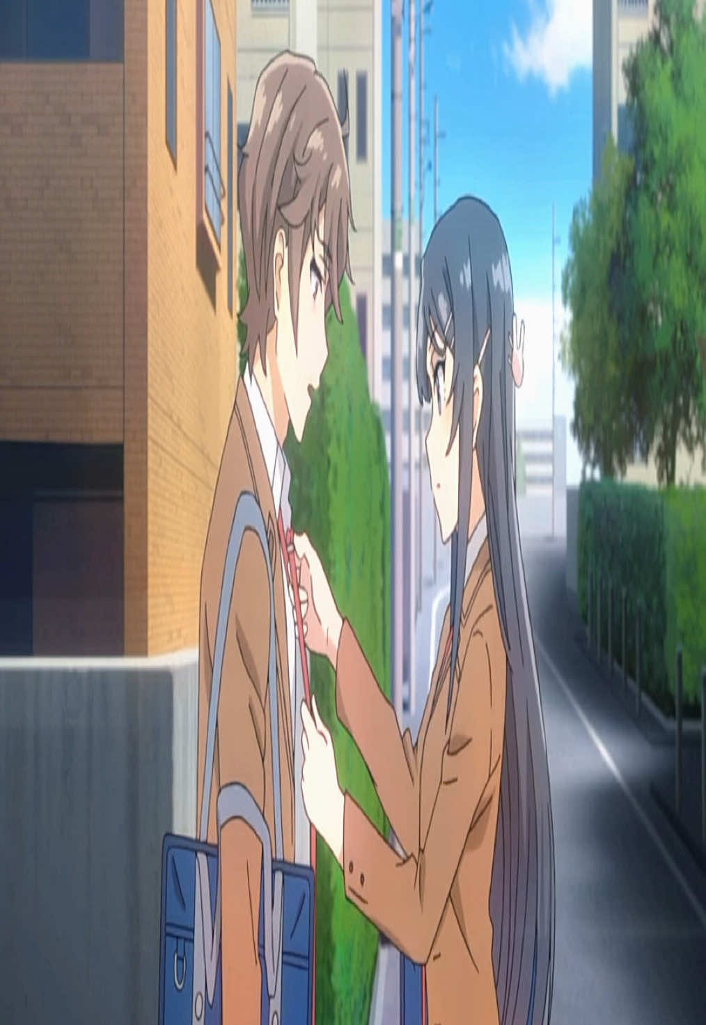 @Mai Sakurajima