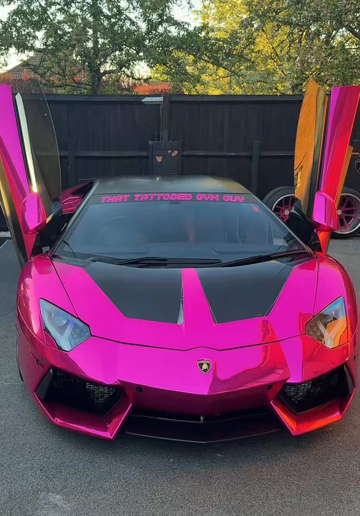 @Thattattooedgymguy