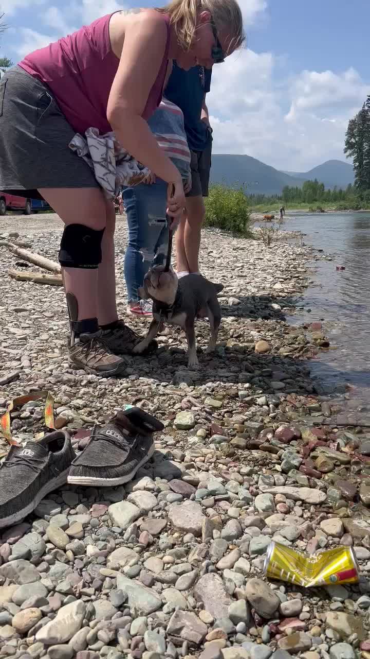 @AdventuresofMumford