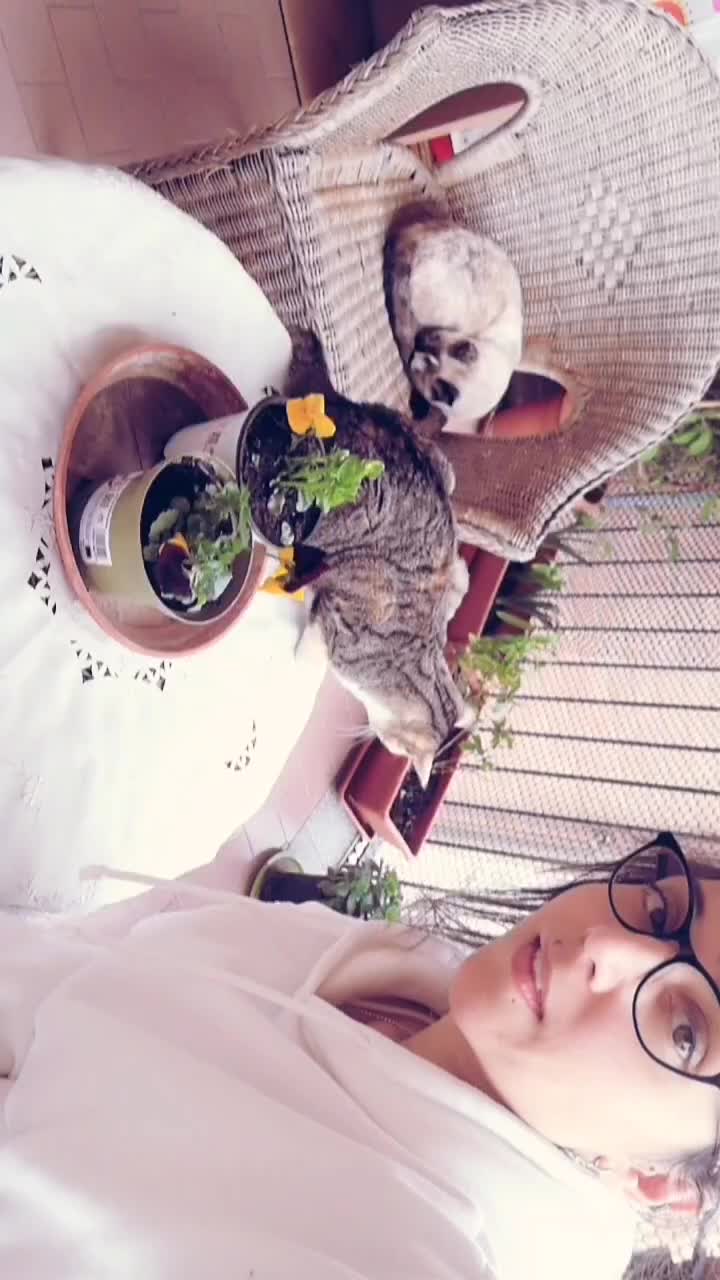 @Veronica Pucchielli