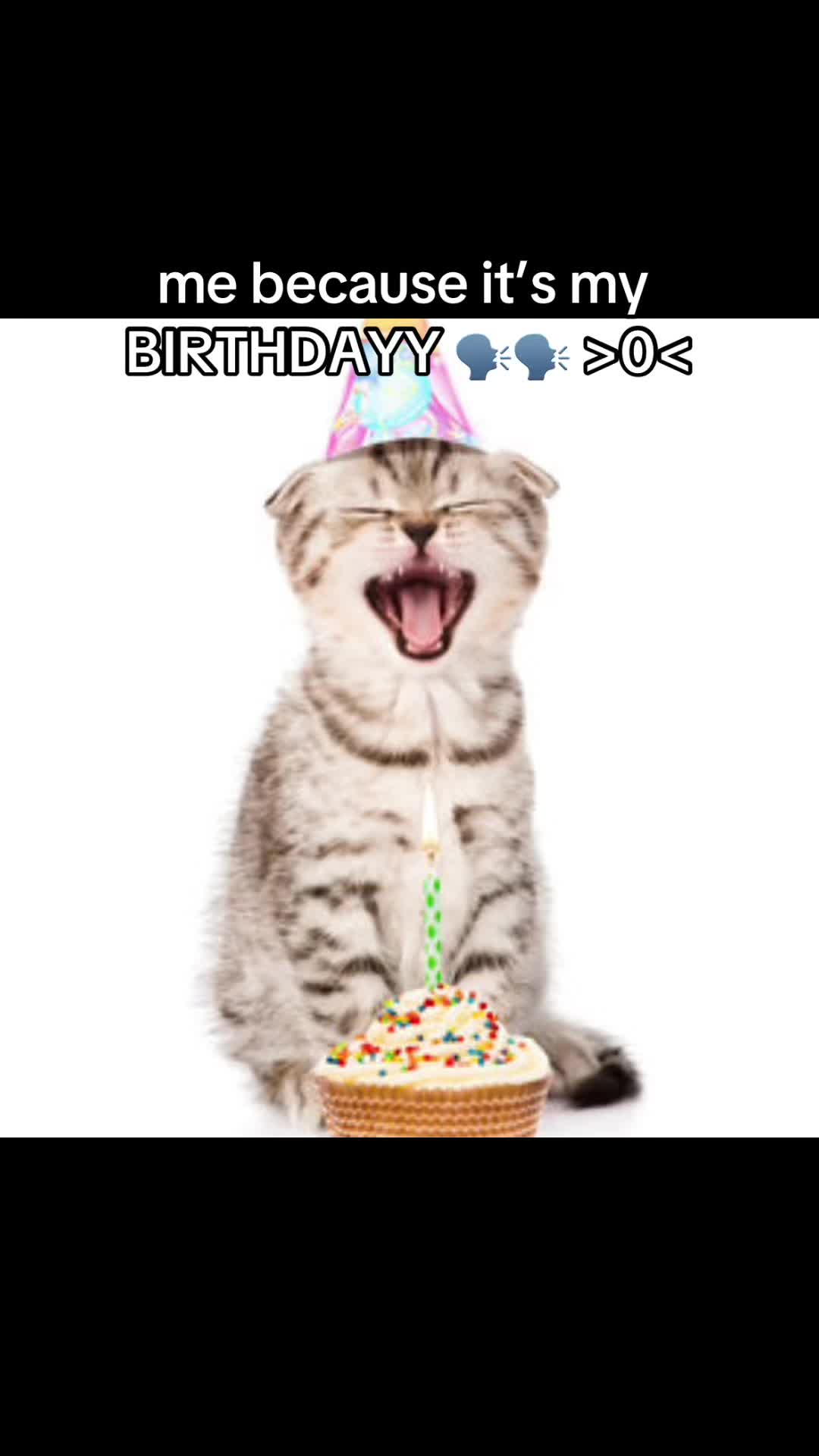 @j ⋆˙⟡
