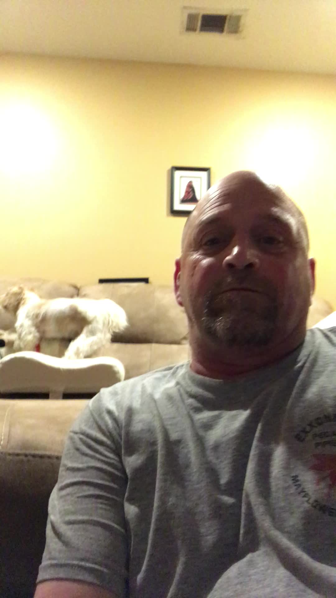 @ArcticSwine