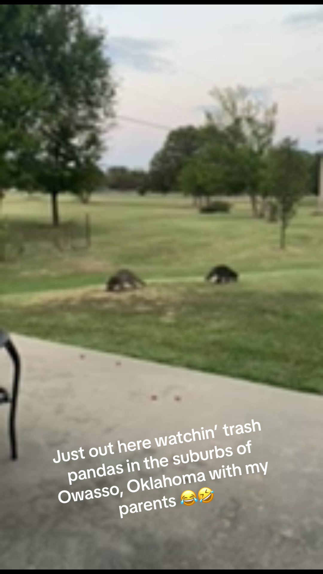 @Amanda Bauer