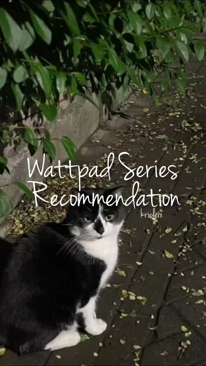@wattpad_recommend2