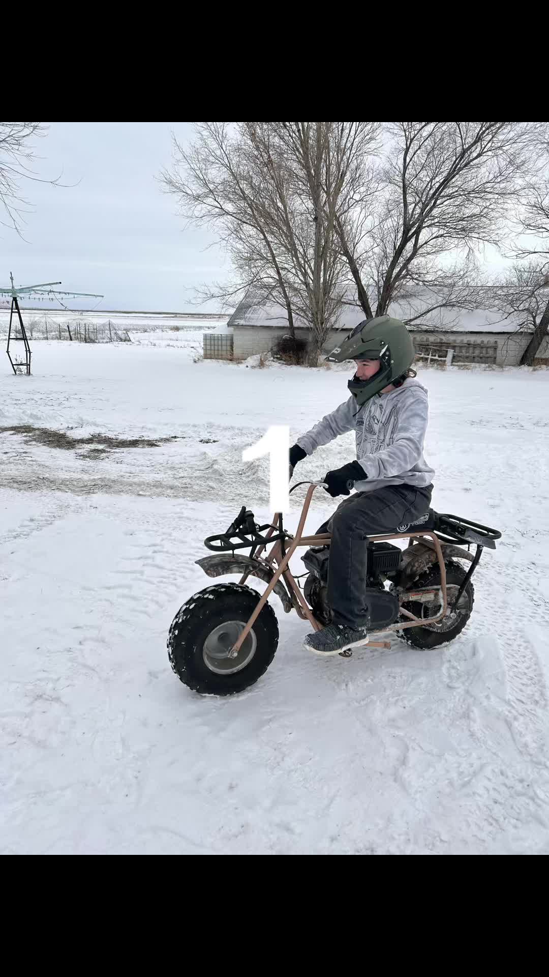 @chaser.buddy