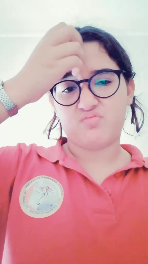 @dalilachiapperino105