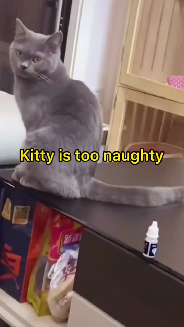 @Fun took
