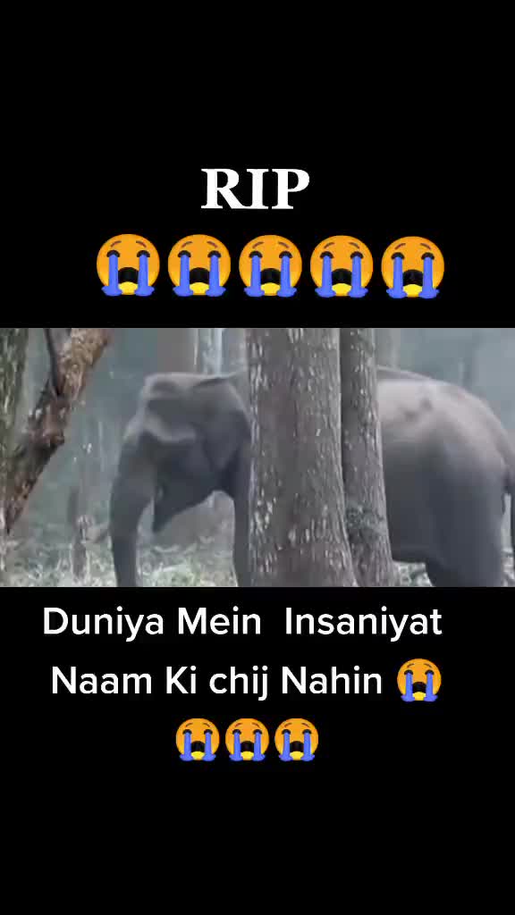 @Khizar Ameer