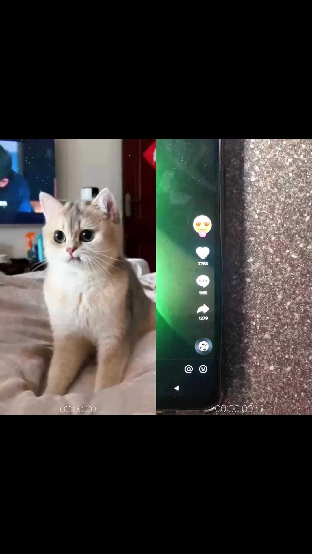 @MAX5Y67E4