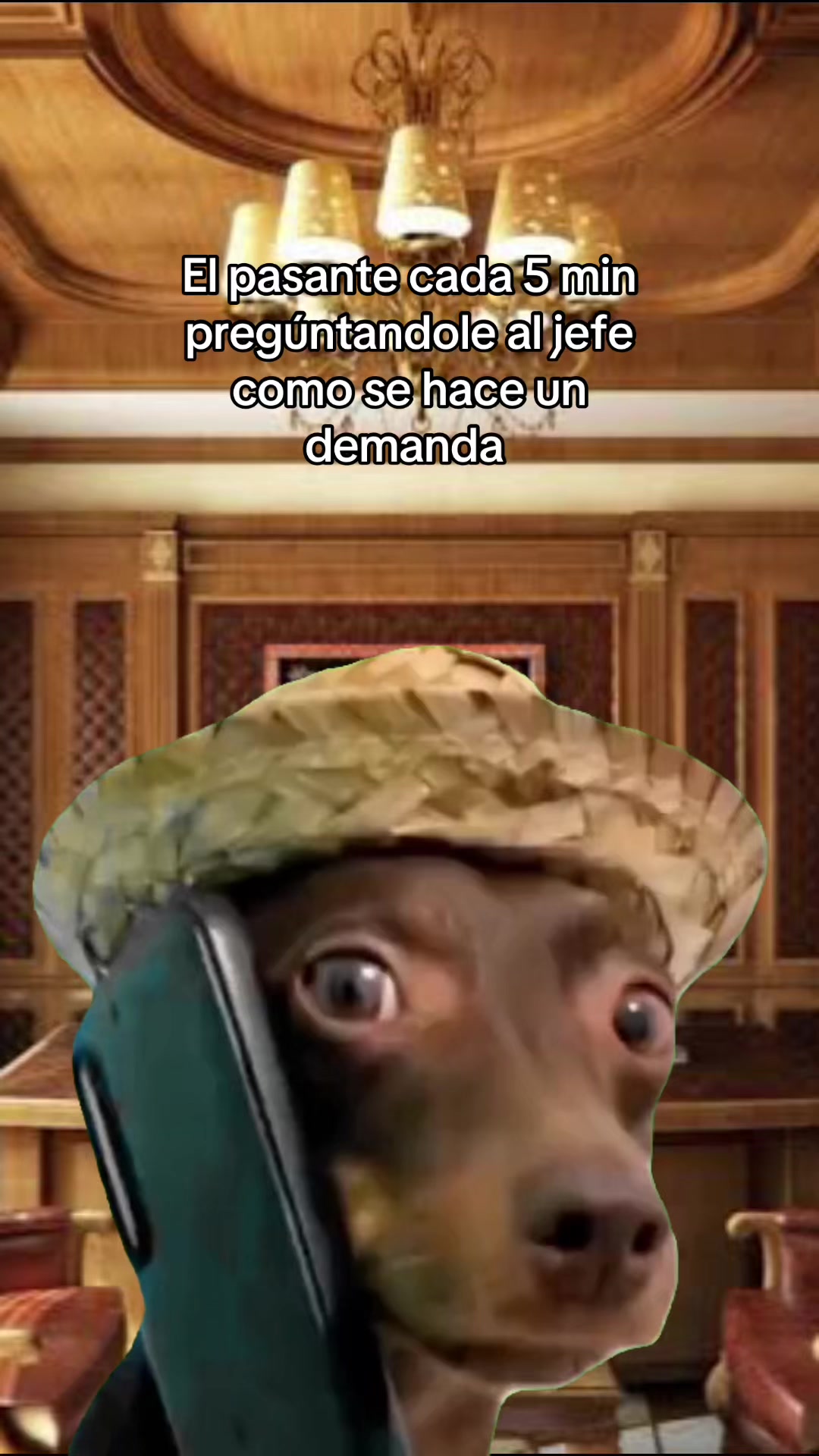 @HIM Asesores Jurídicos