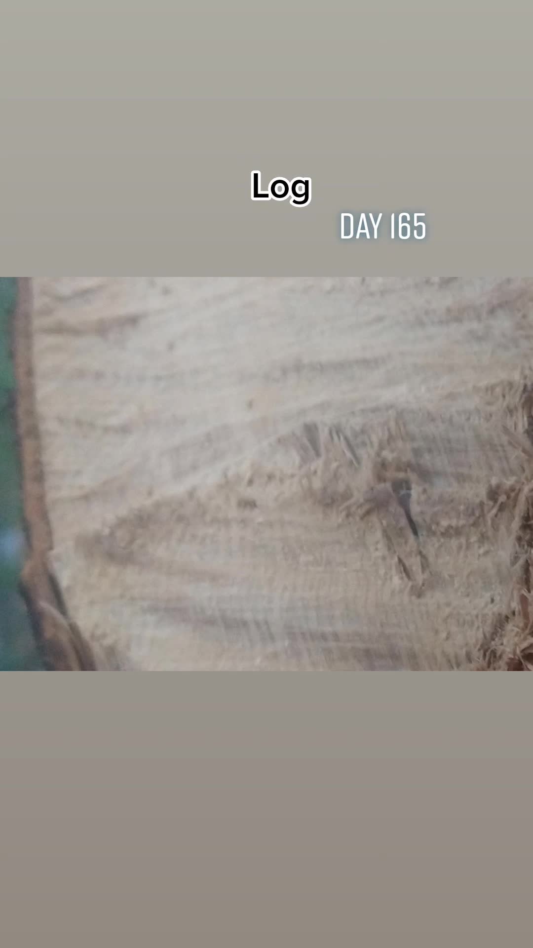 @sadnessesest