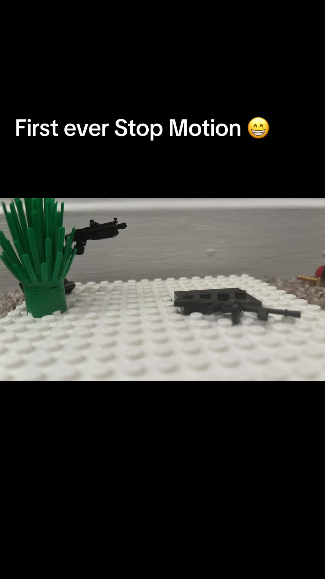 @Purified Turtle 🐢