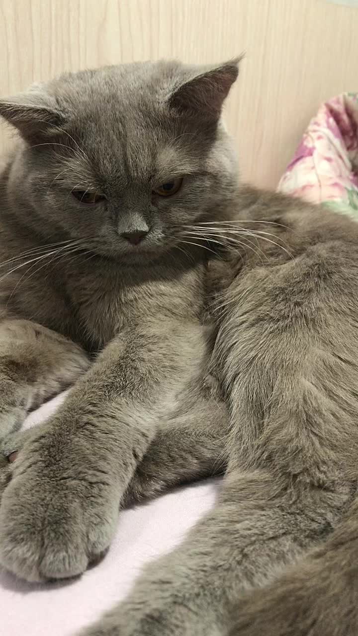 @Алекса маникюр-педикюр Самара