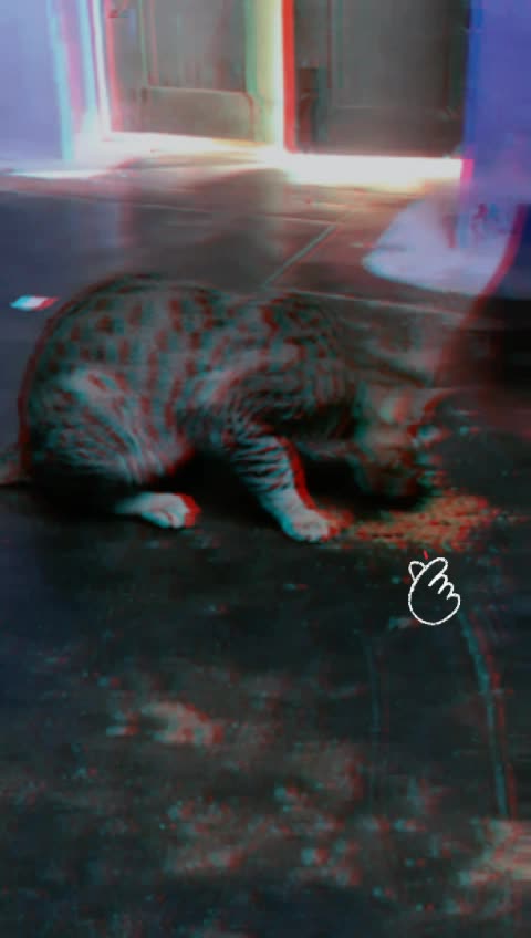 @pungBala